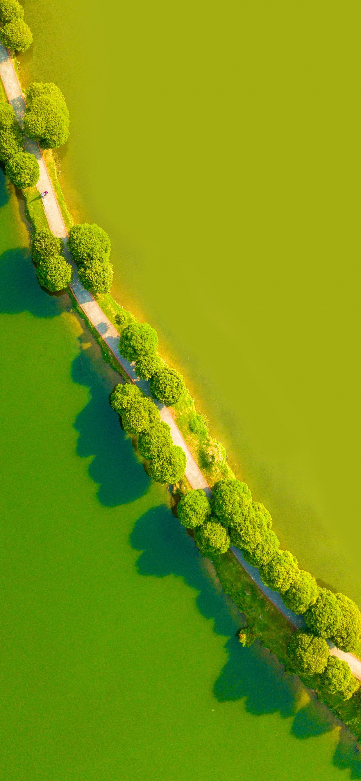 LG, LG G8 ThinQ, Android, Smartphone, Verde. Wallpaper in 1242x2688 Resolution