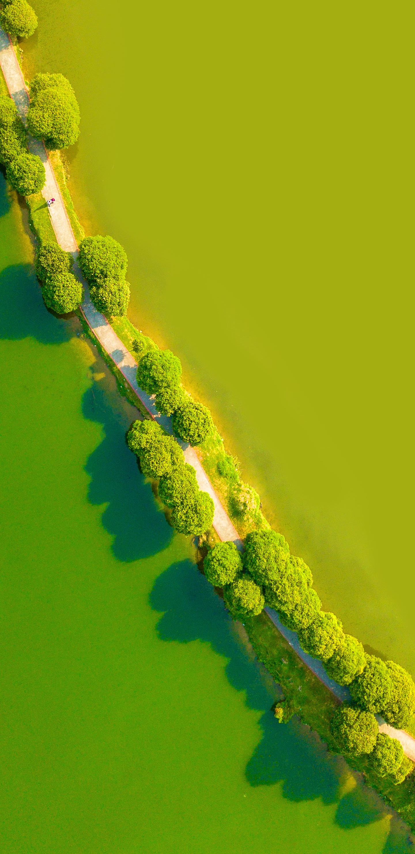 LG, LG G8 ThinQ, Android, Smartphone, Verde. Wallpaper in 1440x2960 Resolution