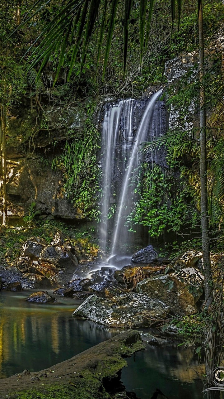 Tagsüber Grüne Bäume am Fluss. Wallpaper in 720x1280 Resolution