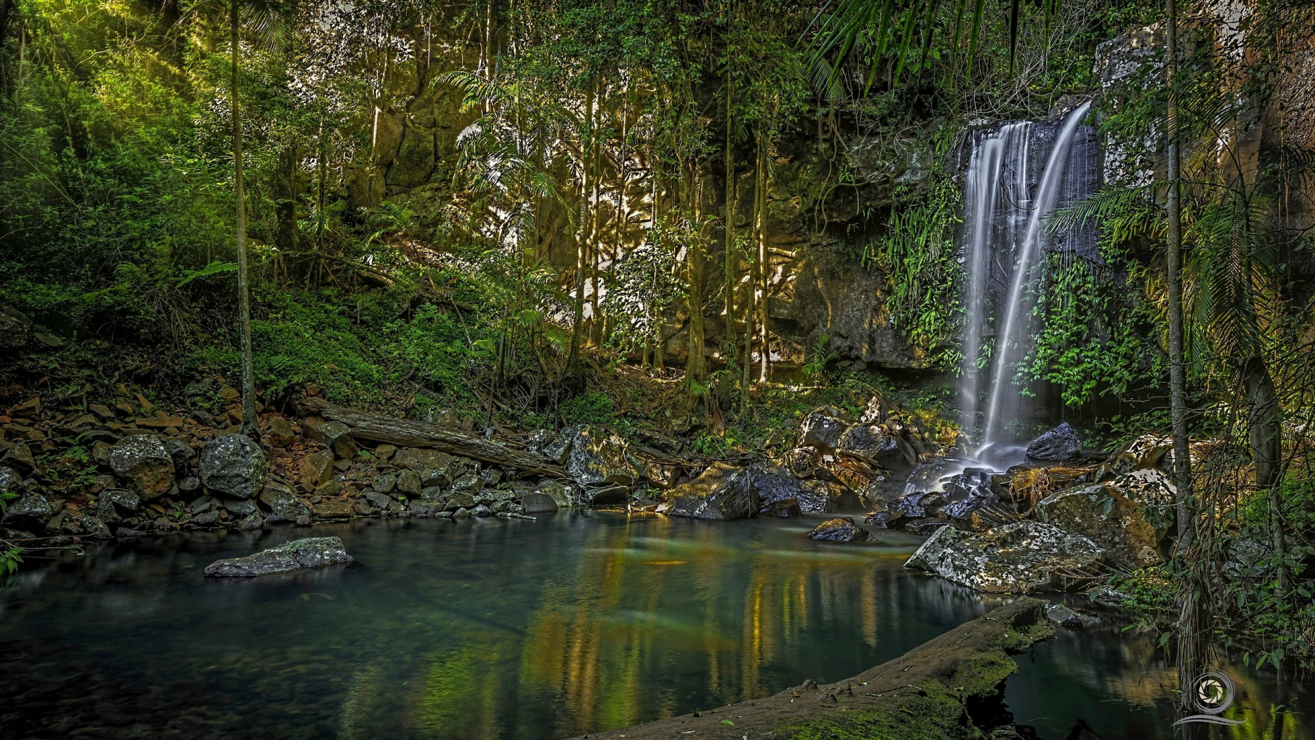 Green Trees Beside River During Daytime. Wallpaper in 1920x1080 Resolution