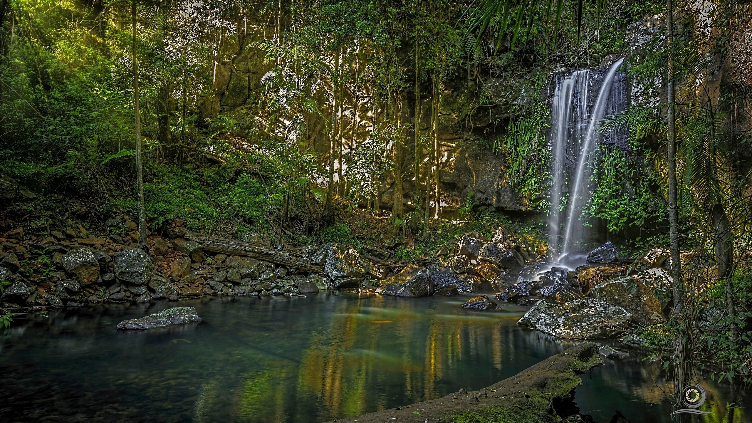 Green Trees Beside River During Daytime. Wallpaper in 2560x1440 Resolution