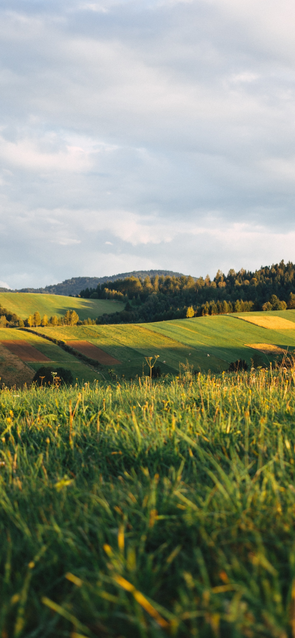 Bieszczady-Gebirge, Cloud, Menschen in Der Natur, Naturlandschaft, Gras. Wallpaper in 1242x2688 Resolution
