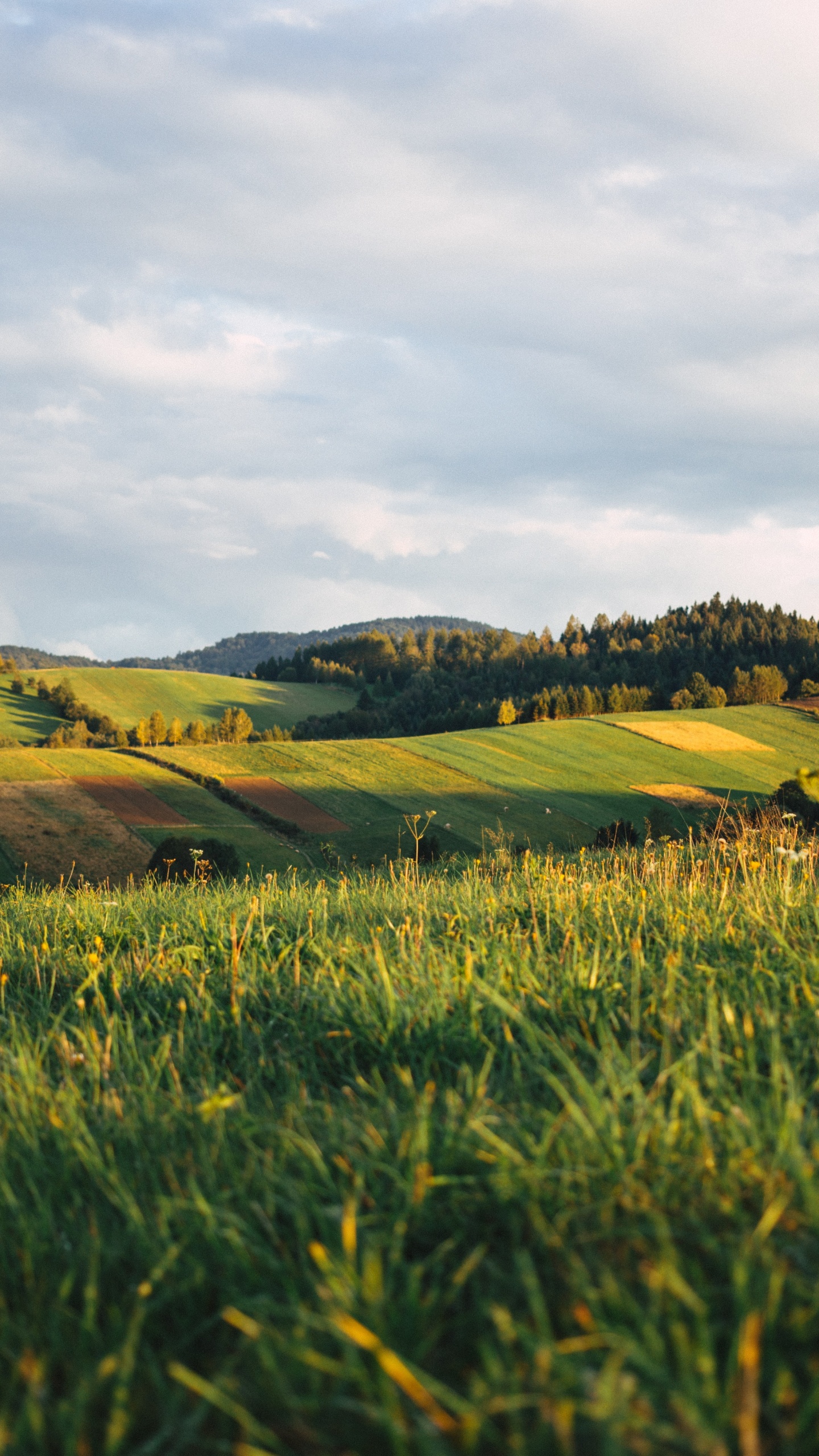 Bieszczady-Gebirge, Cloud, Menschen in Der Natur, Naturlandschaft, Gras. Wallpaper in 1440x2560 Resolution