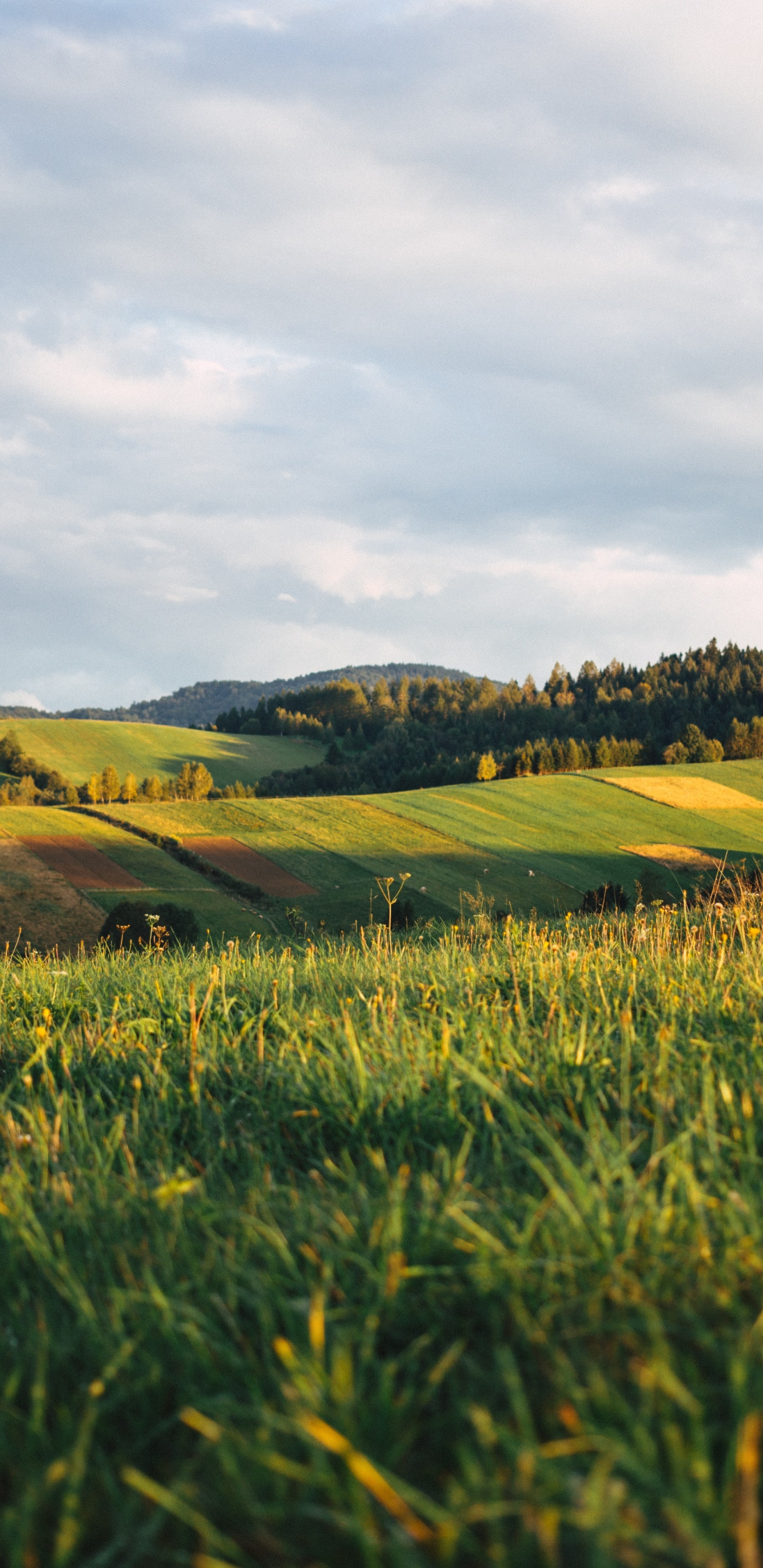 Bieszczady-Gebirge, Cloud, Menschen in Der Natur, Naturlandschaft, Gras. Wallpaper in 1440x2960 Resolution