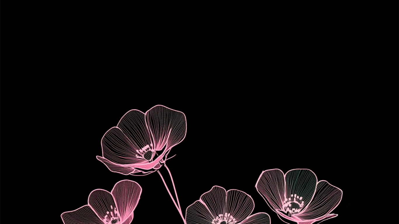 Benutzer, 2025, Illustration, Blütenblatt, Pink. Wallpaper in 1366x768 Resolution