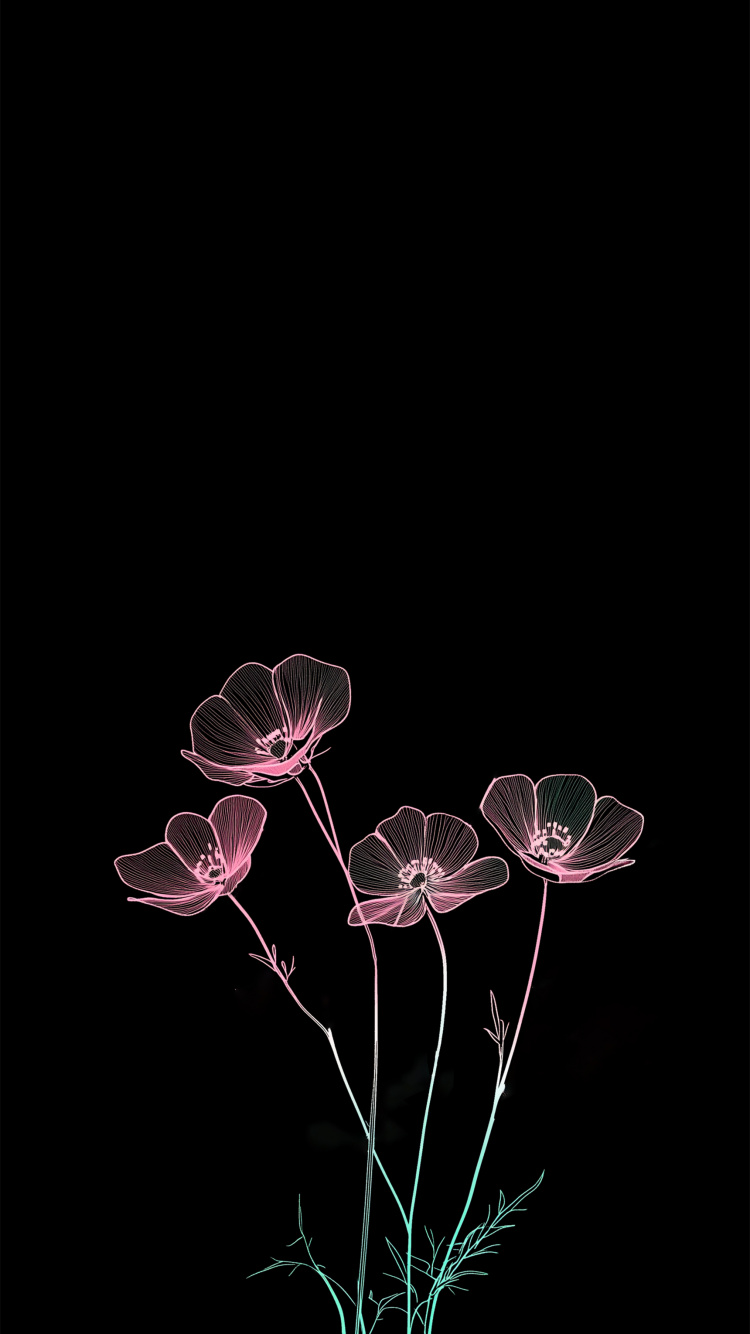 Darkness, World, User, Flower, 2025. Wallpaper in 750x1334 Resolution