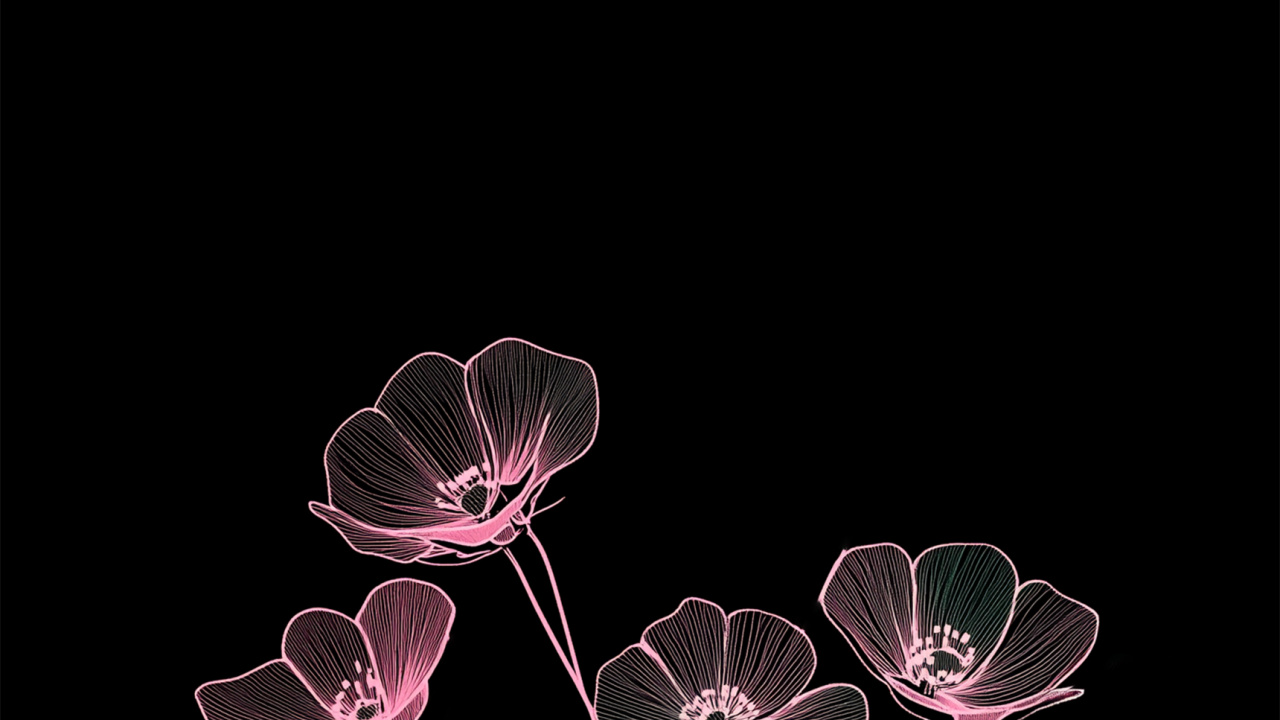 用户, 2025, 粉红色, 显花植物, 紫色的 壁纸 1280x720 允许