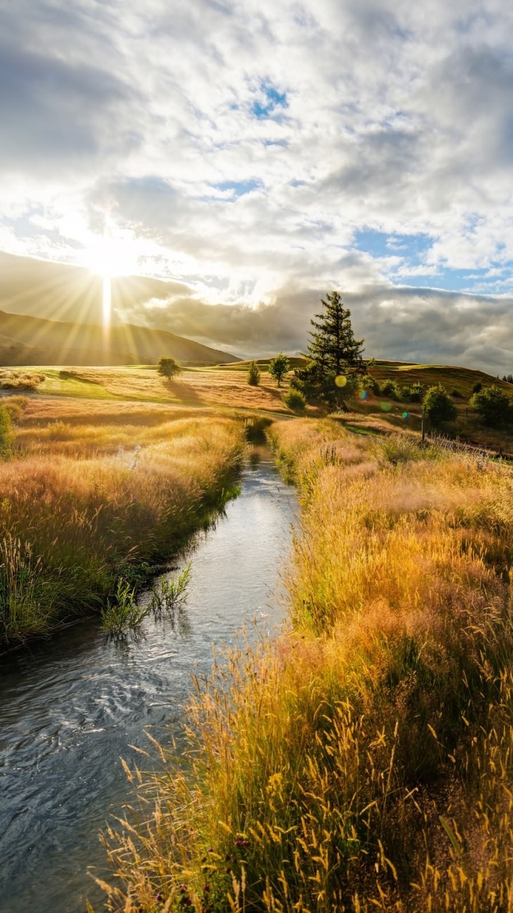 Green Grass Field Near River Under White Clouds and Blue Sky During Daytime. Wallpaper in 720x1280 Resolution
