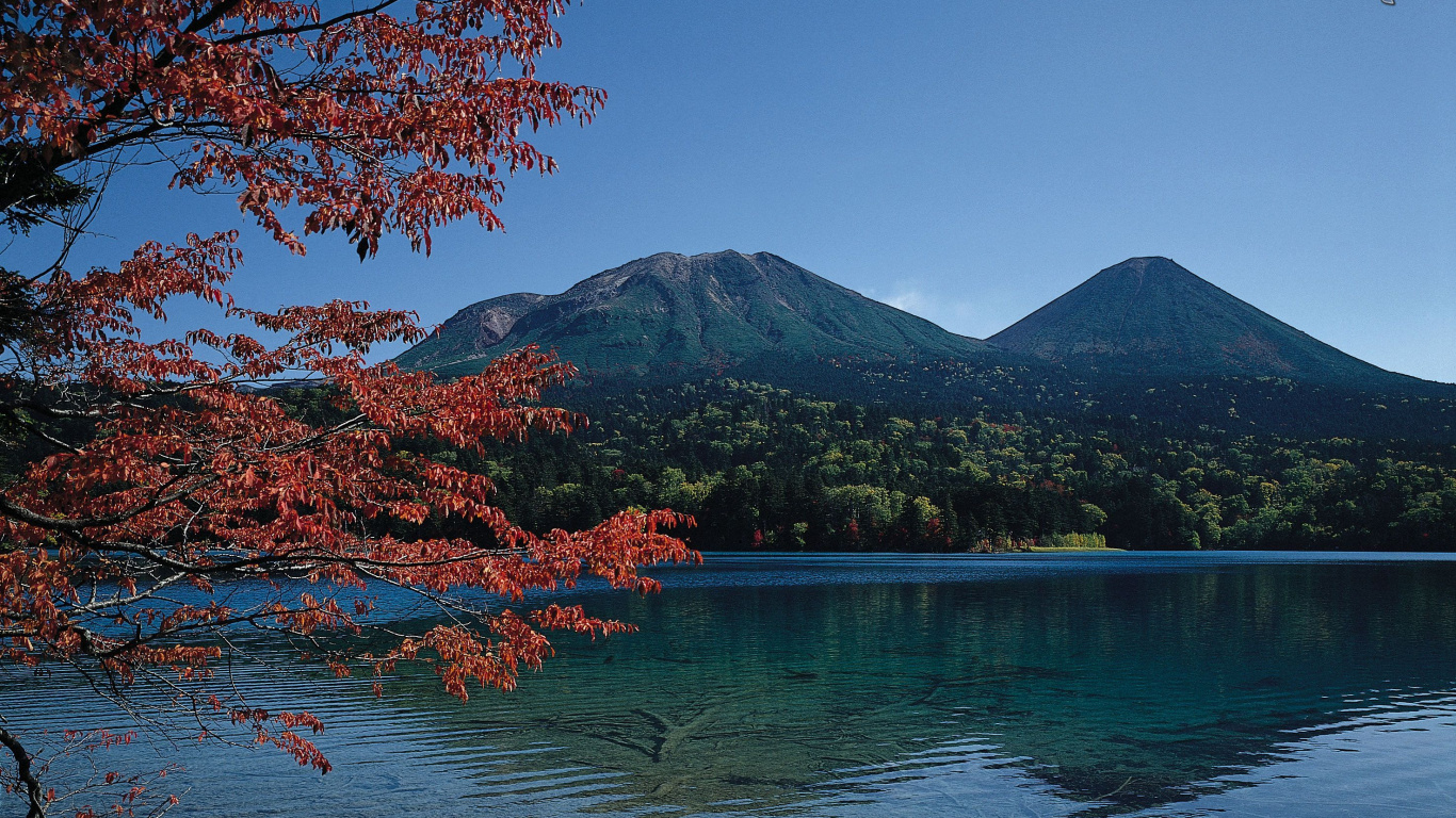 Roter Blattbaum in Der Nähe Von See. Wallpaper in 1366x768 Resolution