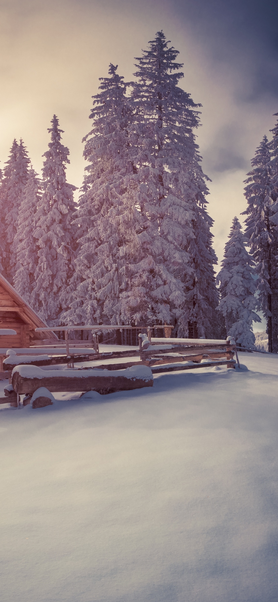 Brown Wooden House Near Green Trees Under White Clouds and Blue Sky During Daytime. Wallpaper in 1125x2436 Resolution