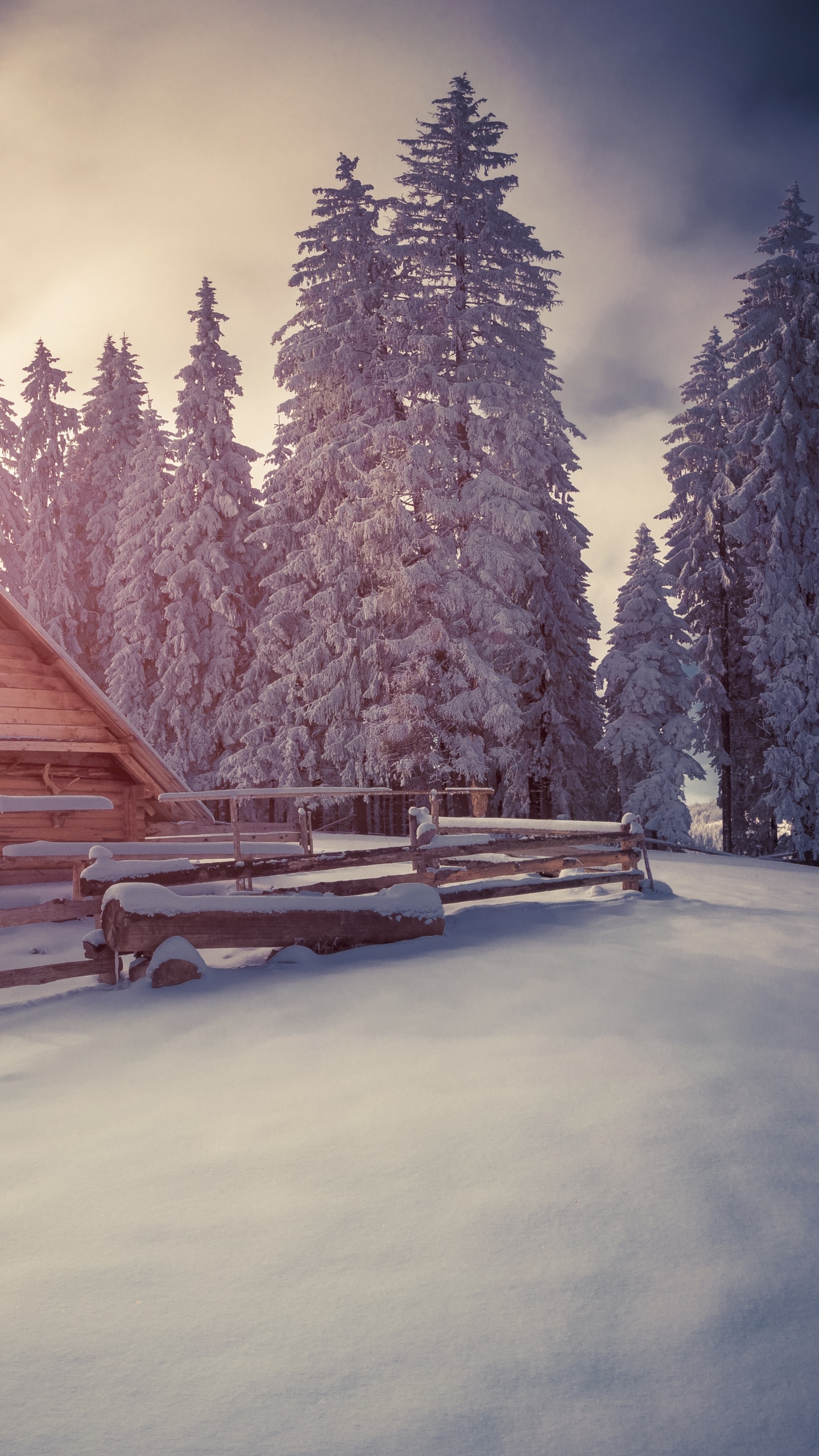 Brown Wooden House Near Green Trees Under White Clouds and Blue Sky During Daytime. Wallpaper in 1440x2560 Resolution