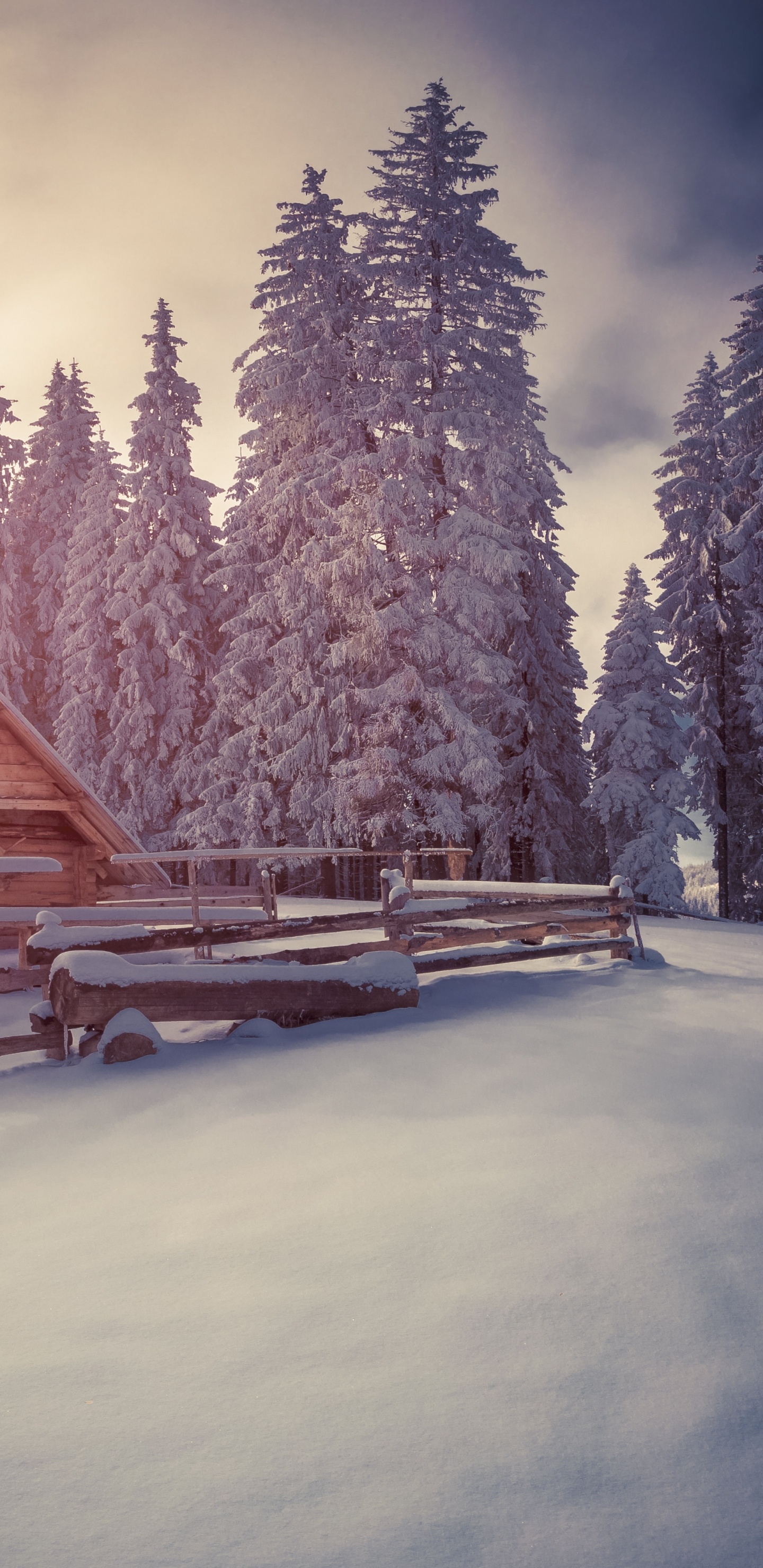 Brown Wooden House Near Green Trees Under White Clouds and Blue Sky During Daytime. Wallpaper in 1440x2960 Resolution