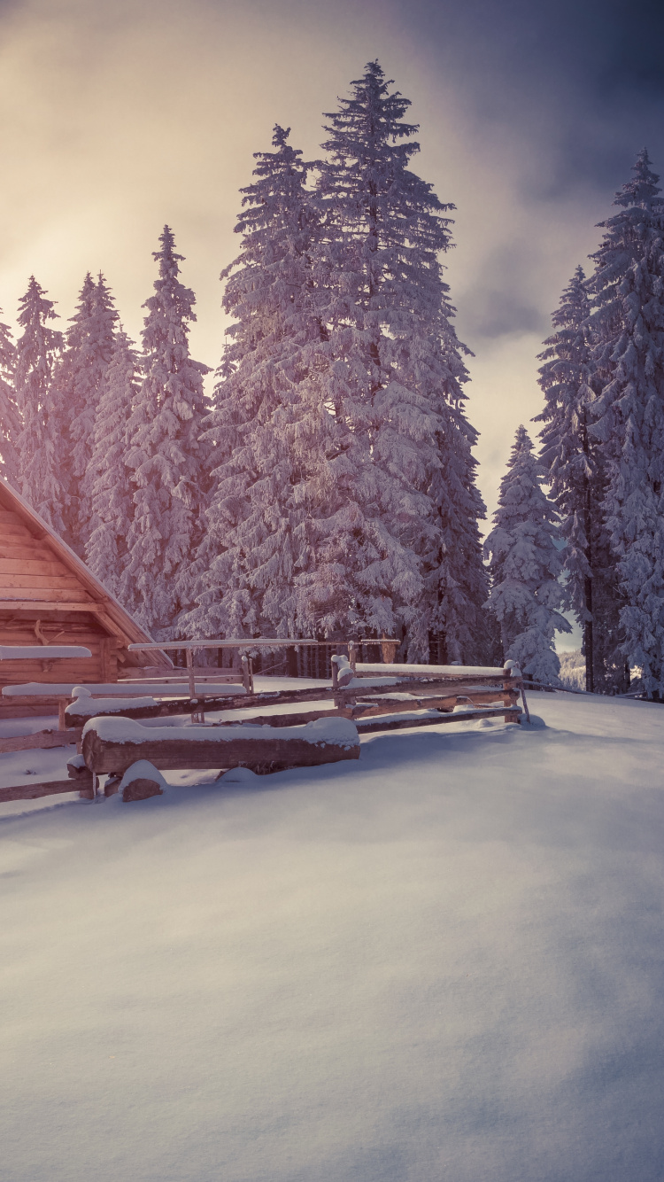 Brown Wooden House Near Green Trees Under White Clouds and Blue Sky During Daytime. Wallpaper in 750x1334 Resolution