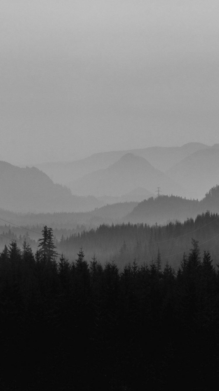 性质, 多山的地貌, 雾, 荒野, Windows10 壁纸 750x1334 允许