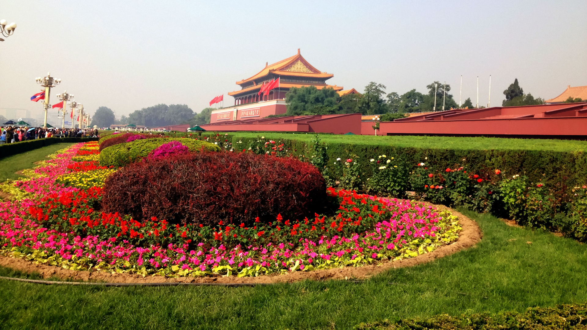 Roter Und Lila Blumengarten. Wallpaper in 1920x1080 Resolution