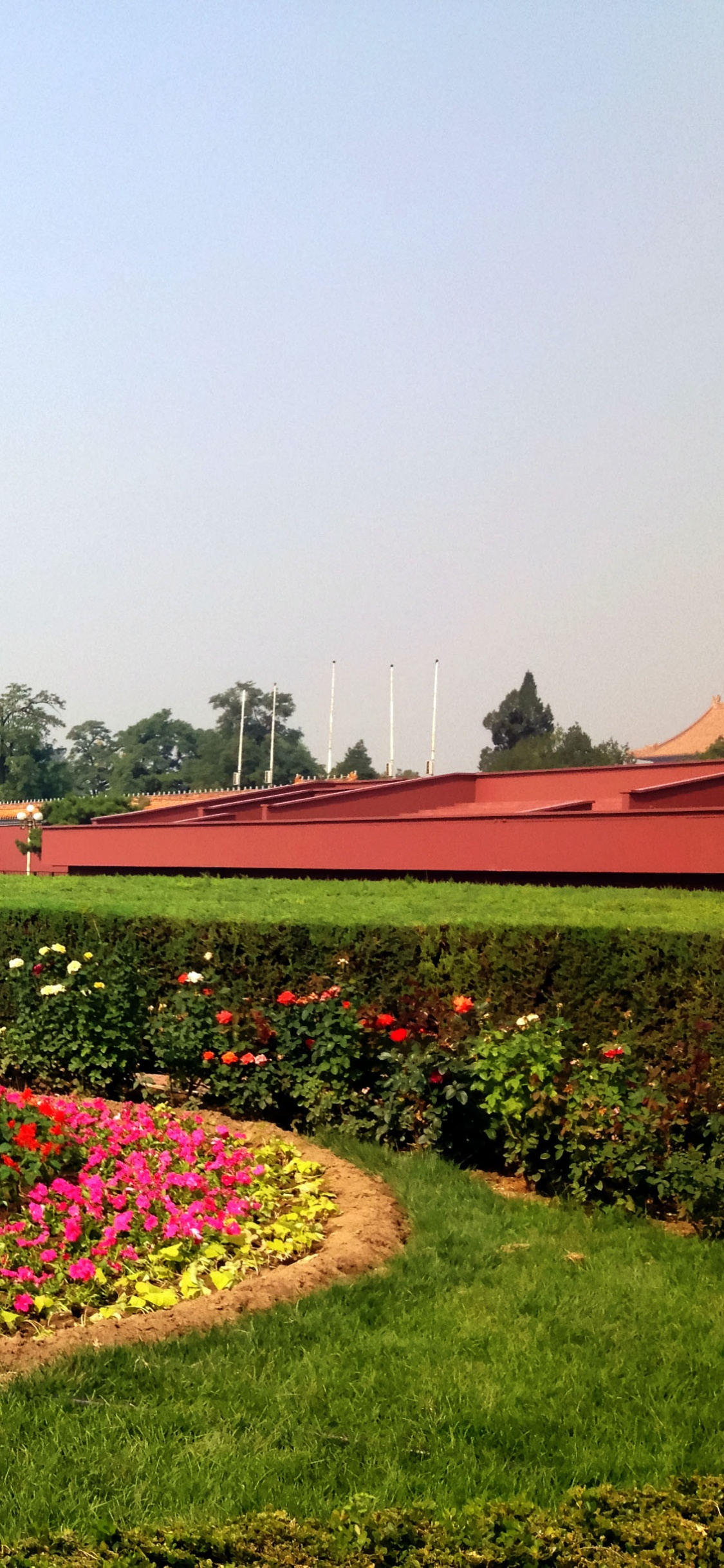 Red and Purple Flower Garden. Wallpaper in 1125x2436 Resolution