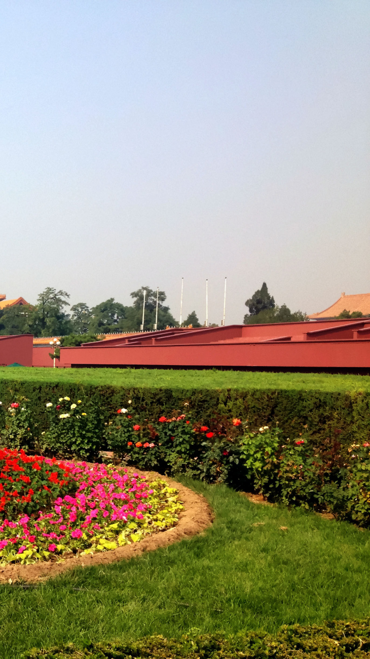 紫禁城, 旅游景点, 花园, 植物园, 旅游业 壁纸 750x1334 允许