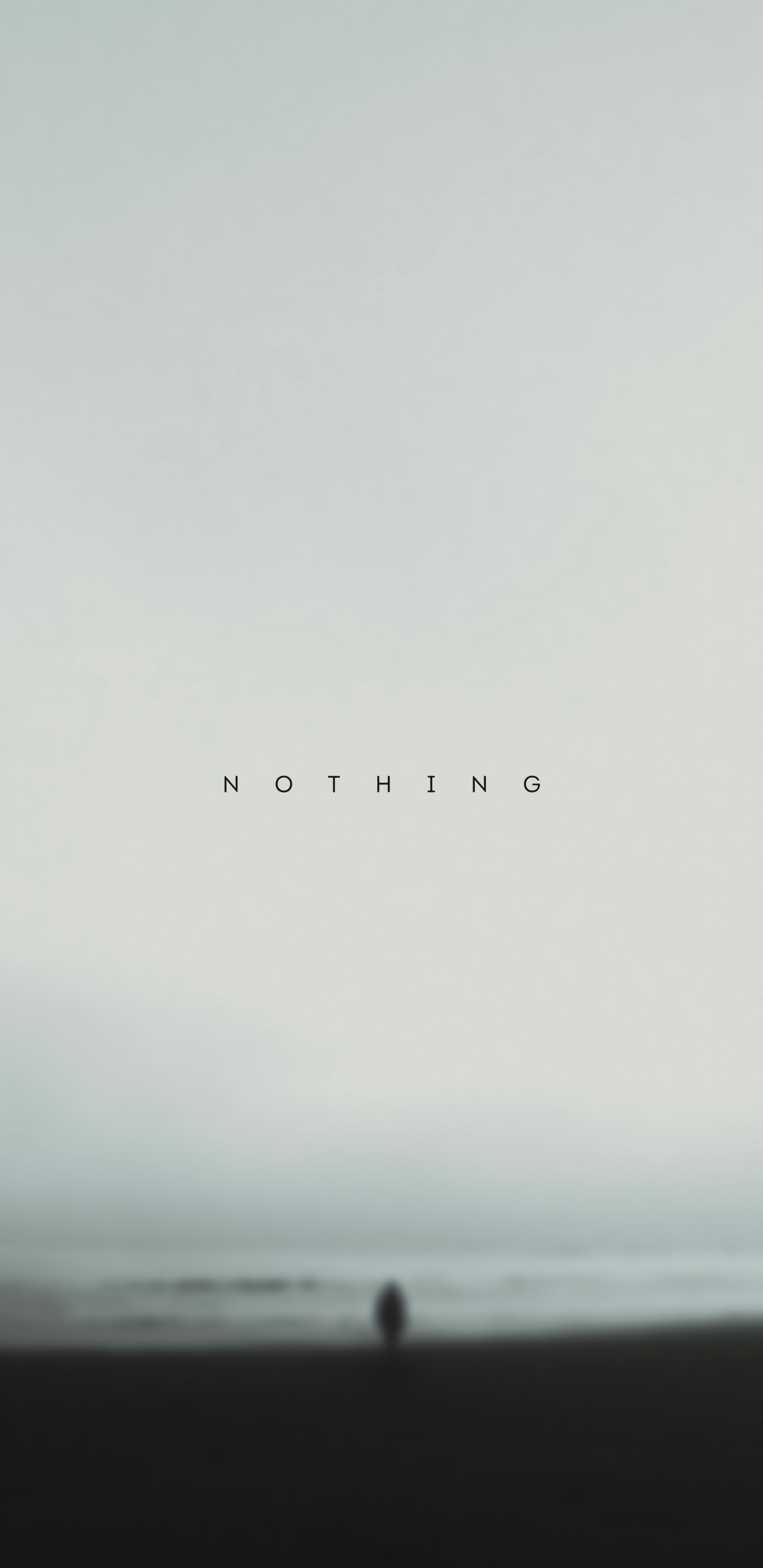 科学, 生物学, 矩形, 地平线, 鸟类迁徙 壁纸 1440x2960 允许