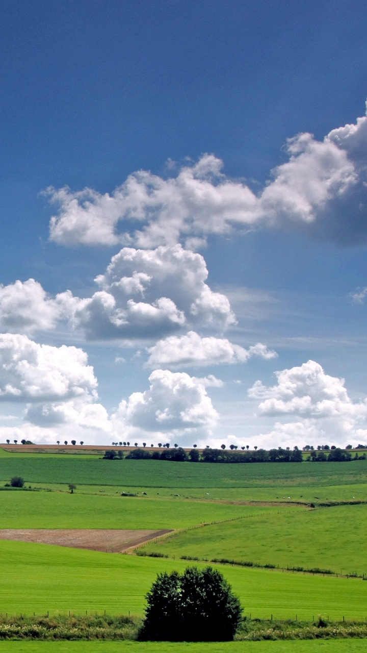 Grüne Wiese Unter Blauem Himmel Und Weißen Wolken Tagsüber. Wallpaper in 720x1280 Resolution