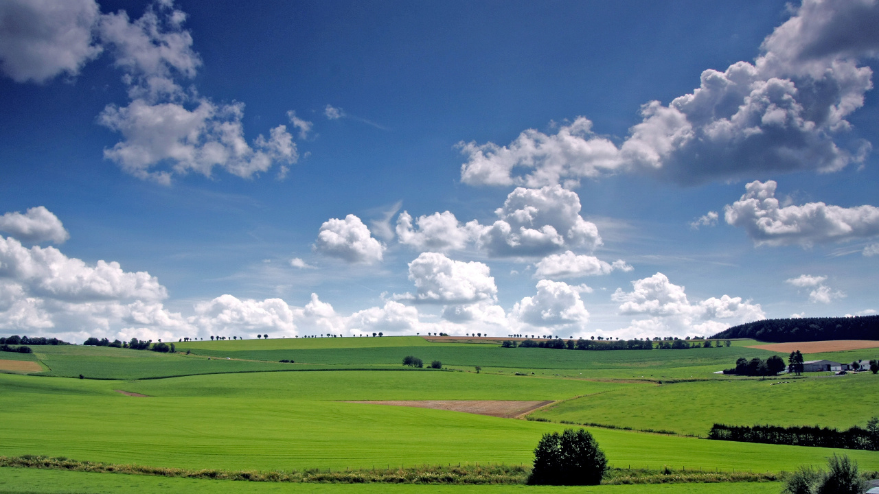 Campo de Hierba Verde Bajo un Cielo Azul y Nubes Blancas Durante el Día. Wallpaper in 1280x720 Resolution