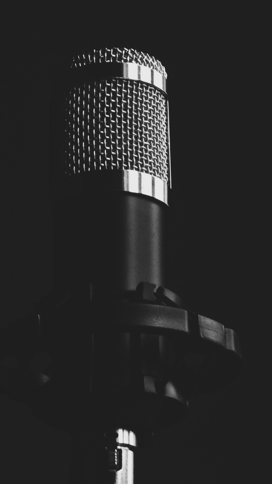 Microphone, Microphone Stand, Audio Equipment, Technology, Electronic Device. Wallpaper in 1080x1920 Resolution