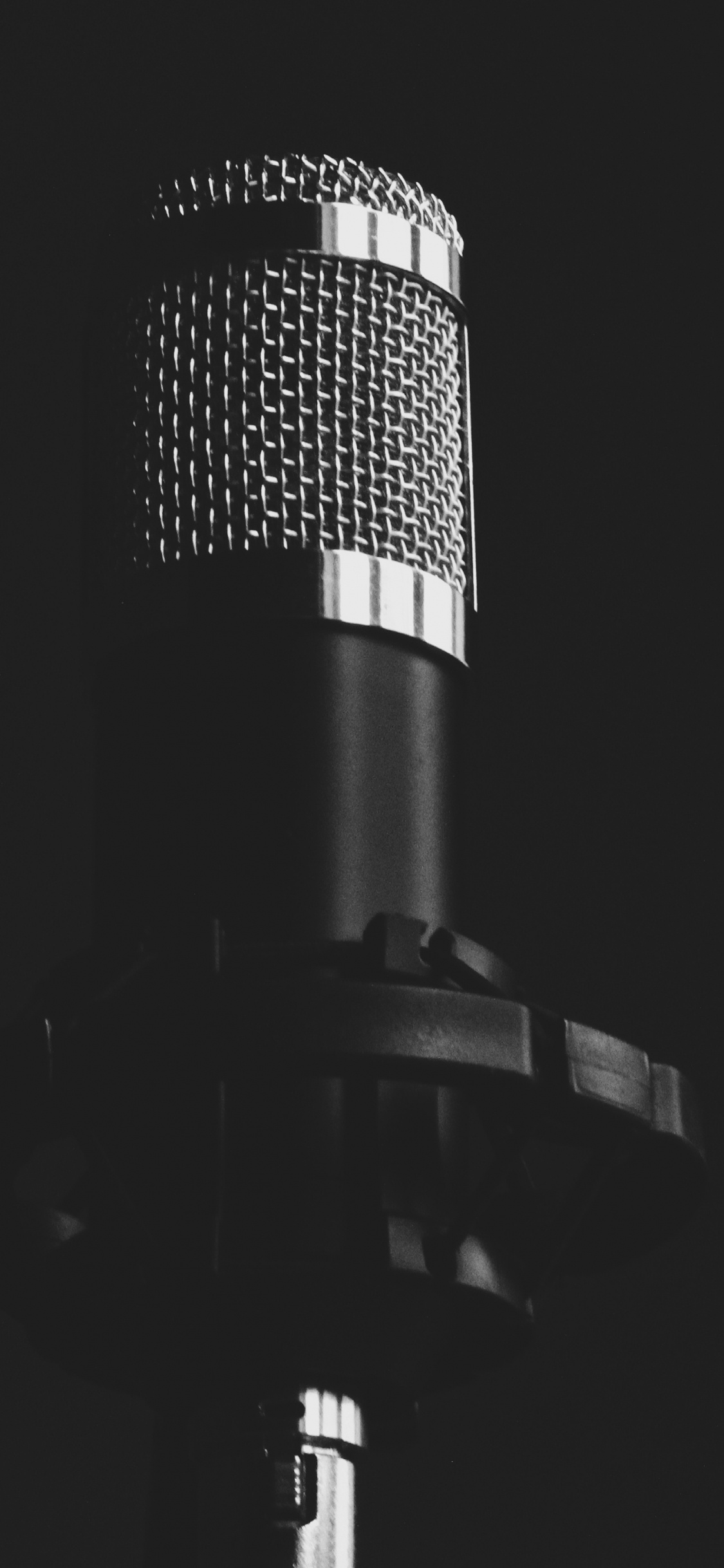 Microphone, Microphone Stand, Audio Equipment, Technology, Electronic Device. Wallpaper in 1125x2436 Resolution