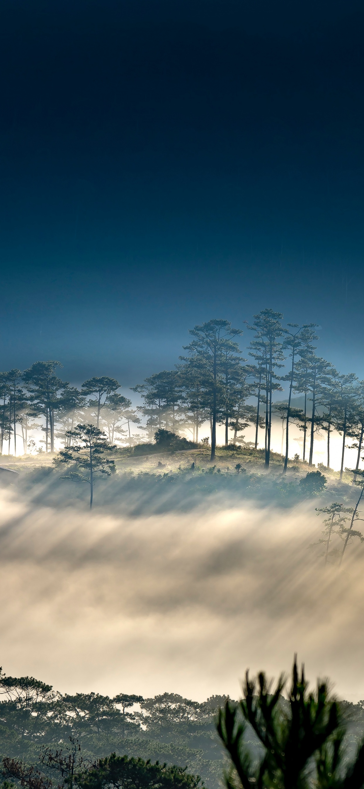 Atmosphère, Paysage Naturel, Brouillard. Wallpaper in 1242x2688 Resolution