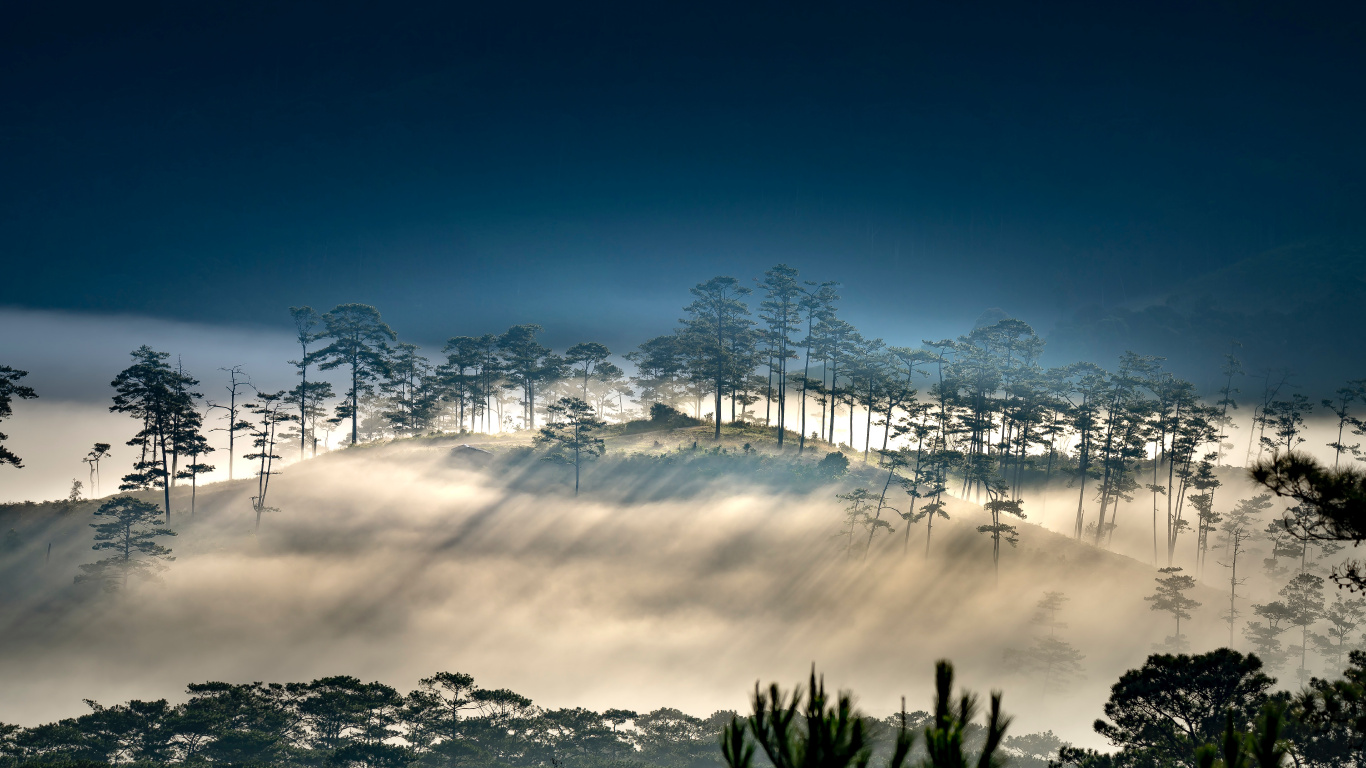 Atmosphère, Paysage Naturel, Brouillard. Wallpaper in 1366x768 Resolution