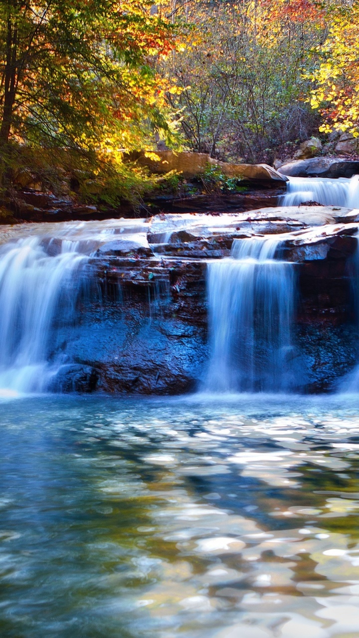 el Agua Cae en Medio Del Bosque. Wallpaper in 720x1280 Resolution