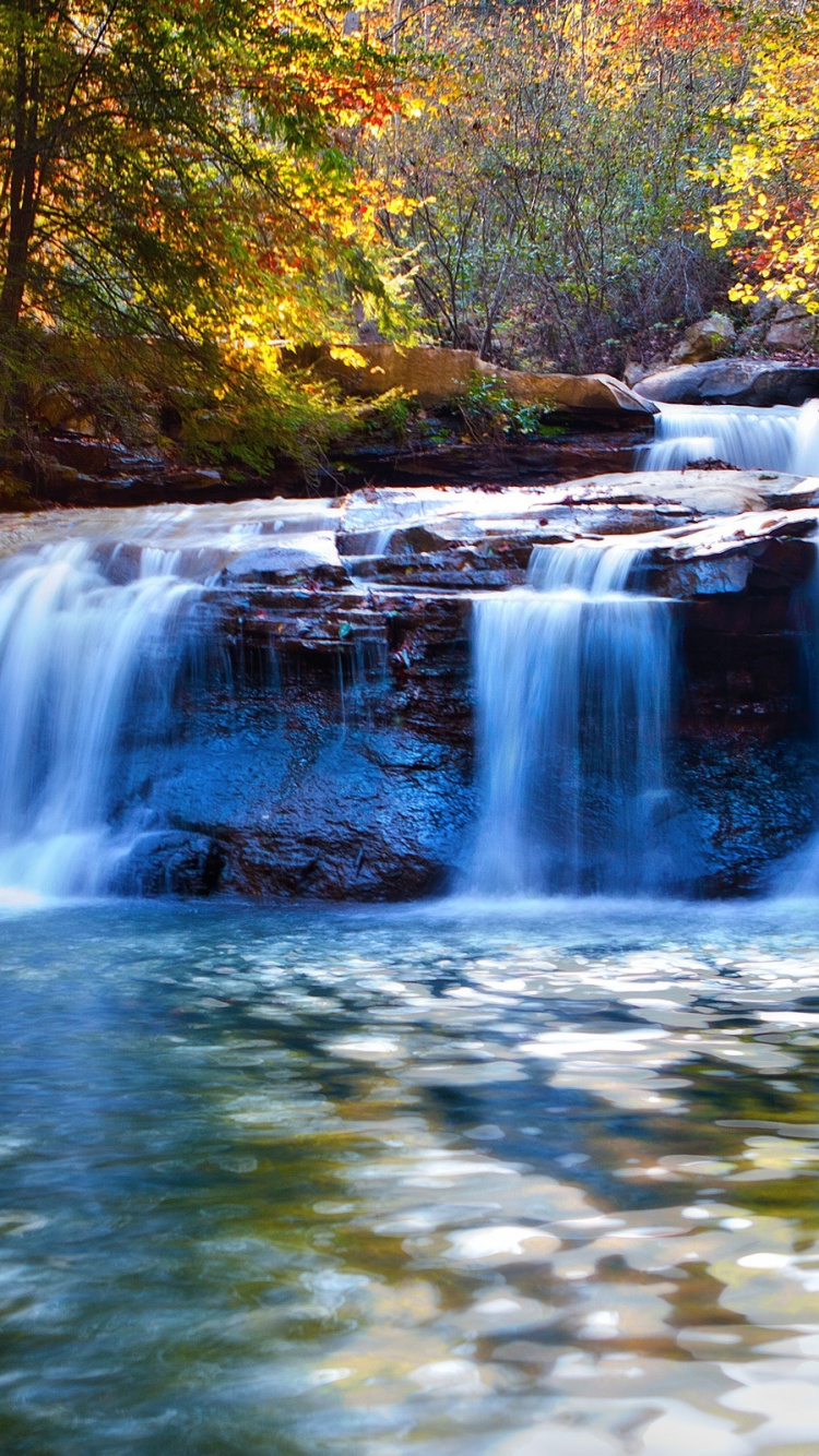 Water Falls in The Middle of The Forest. Wallpaper in 750x1334 Resolution