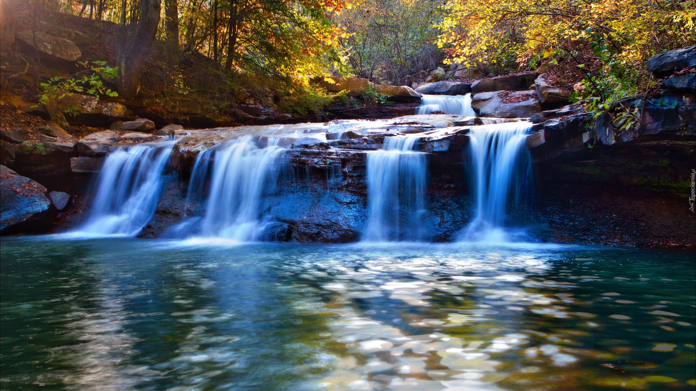 Wasser Fällt Mitten in Den Wald. Wallpaper in 1366x768 Resolution