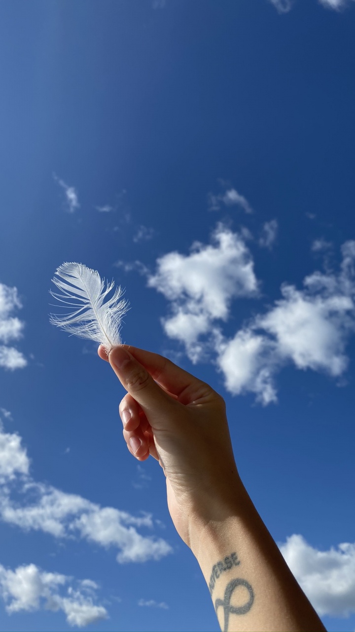 Wissenschaft, Finger, Tageszeit, Cloud, Handgelenk. Wallpaper in 720x1280 Resolution