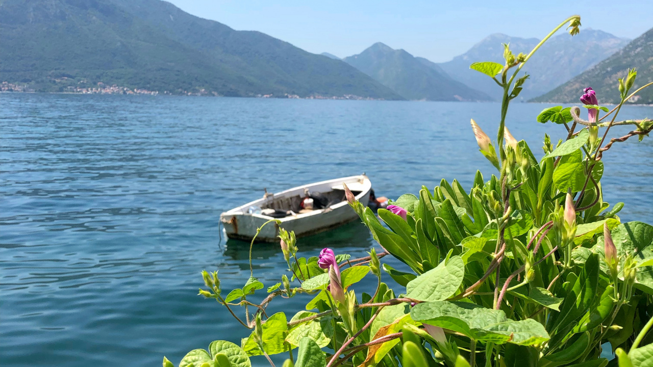 Naturaleza, Cuerpo de Agua, Las Formaciones Montañosas, la Vegetación, Costa. Wallpaper in 1280x720 Resolution