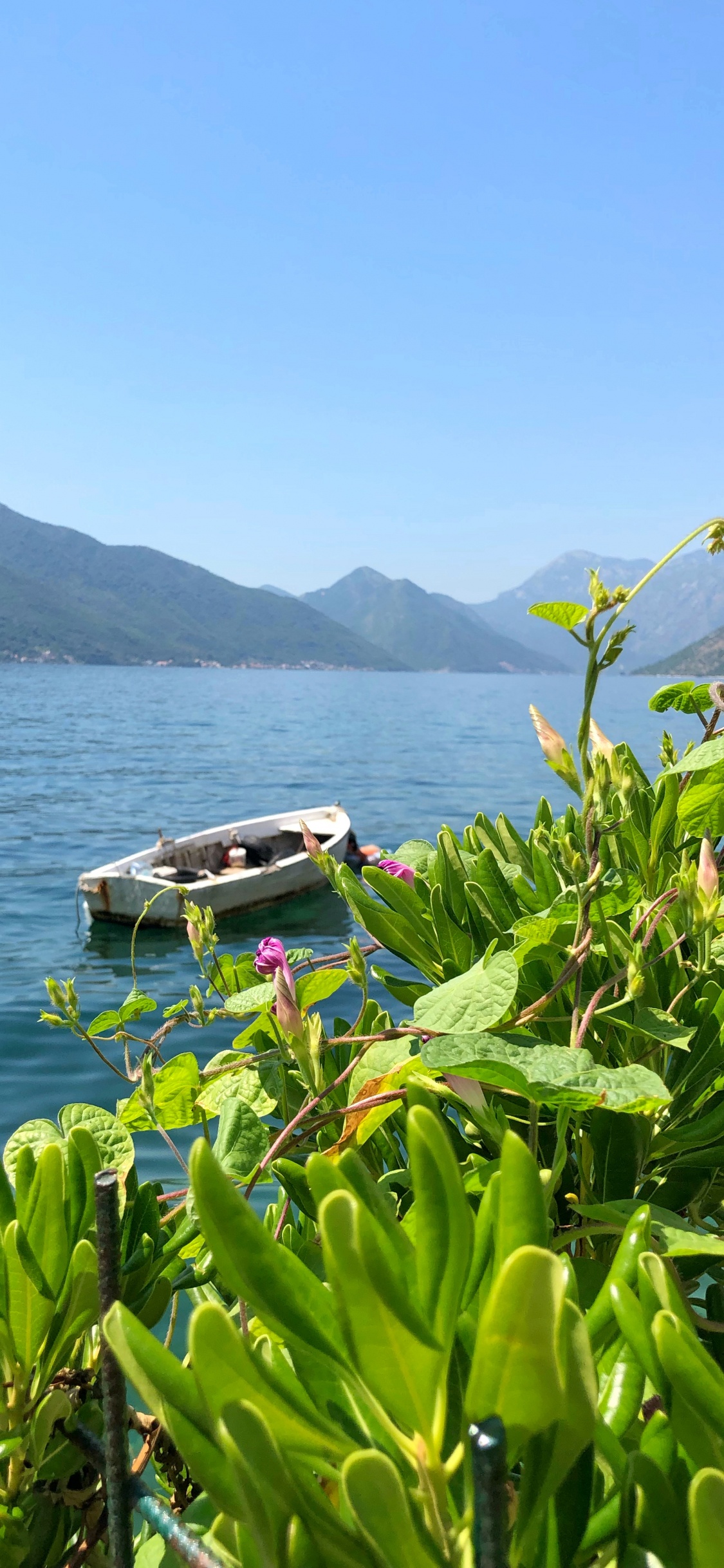 Nature, Body of Water, Mountainous Landforms, Vegetation, Coast. Wallpaper in 1125x2436 Resolution