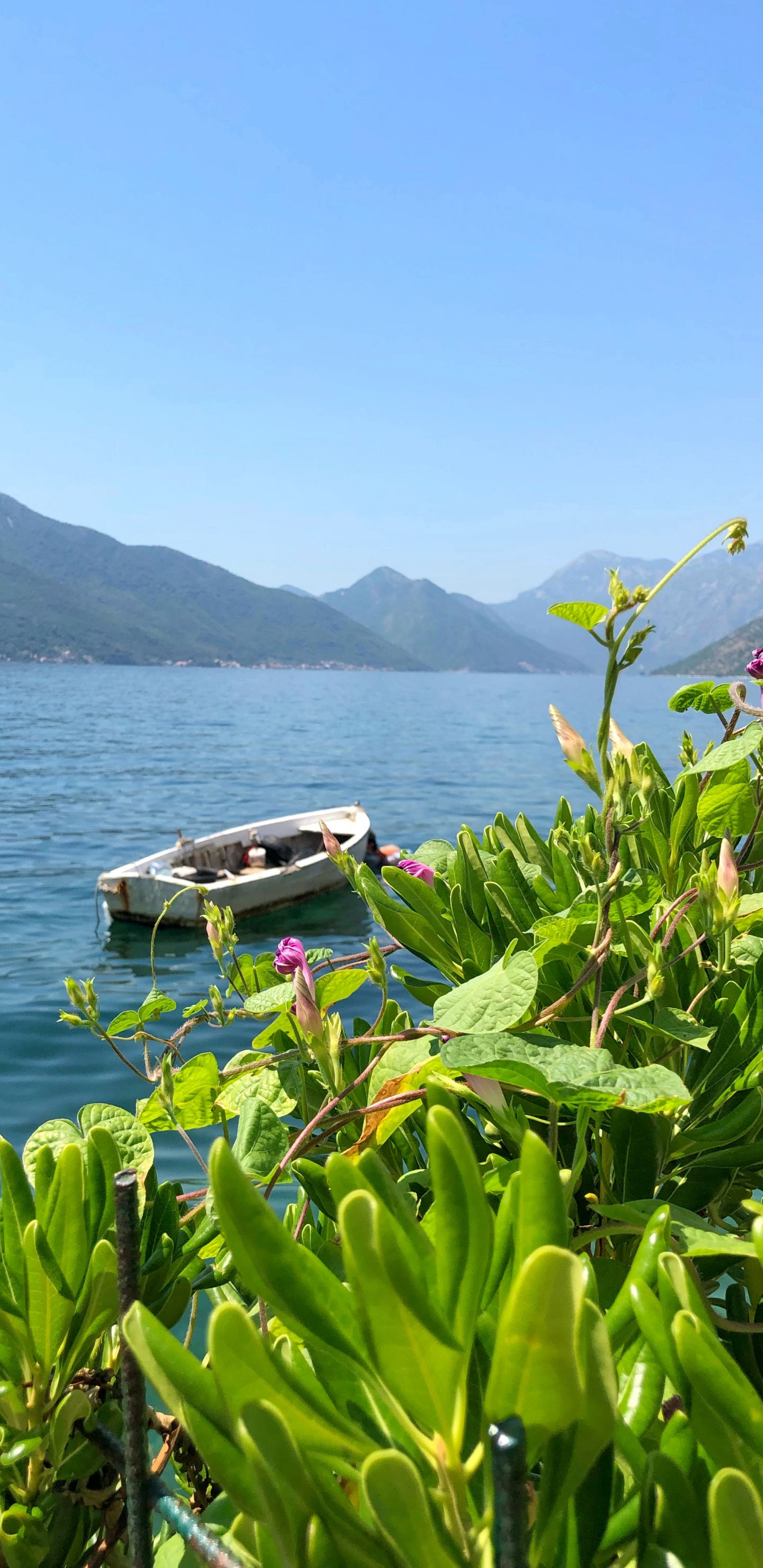 Nature, Body of Water, Mountainous Landforms, Vegetation, Coast. Wallpaper in 1440x2960 Resolution