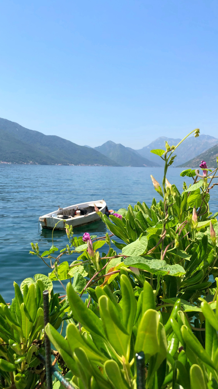 Nature, Body of Water, Mountainous Landforms, Vegetation, Coast. Wallpaper in 750x1334 Resolution