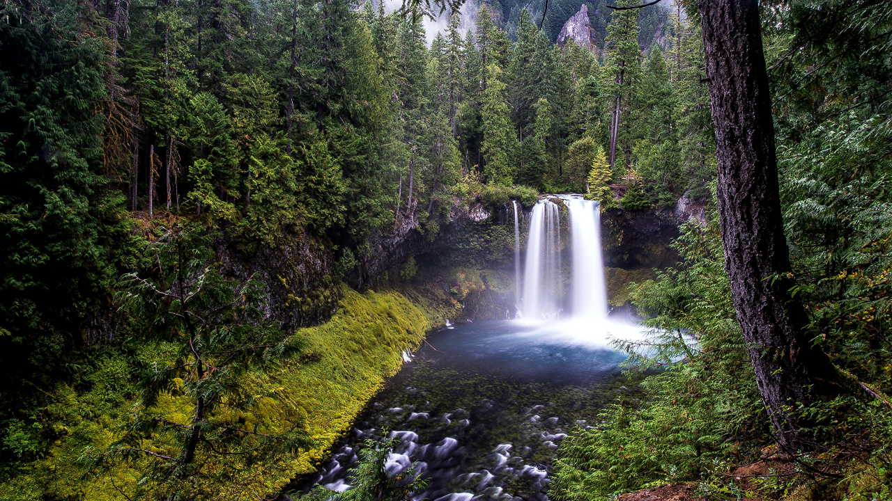 Cascadas en Medio Del Bosque Durante el Día. Wallpaper in 1280x720 Resolution