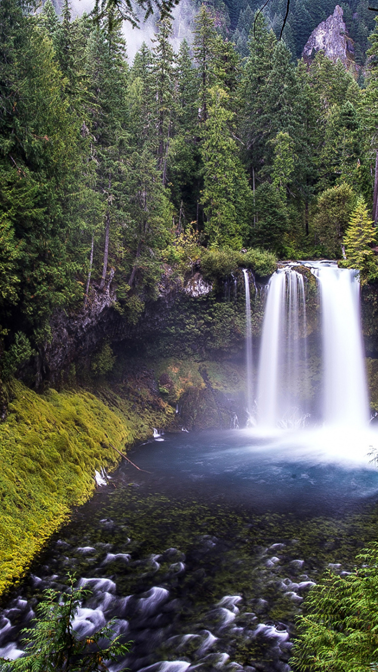 Wasserfälle Mitten im Wald Tagsüber. Wallpaper in 750x1334 Resolution
