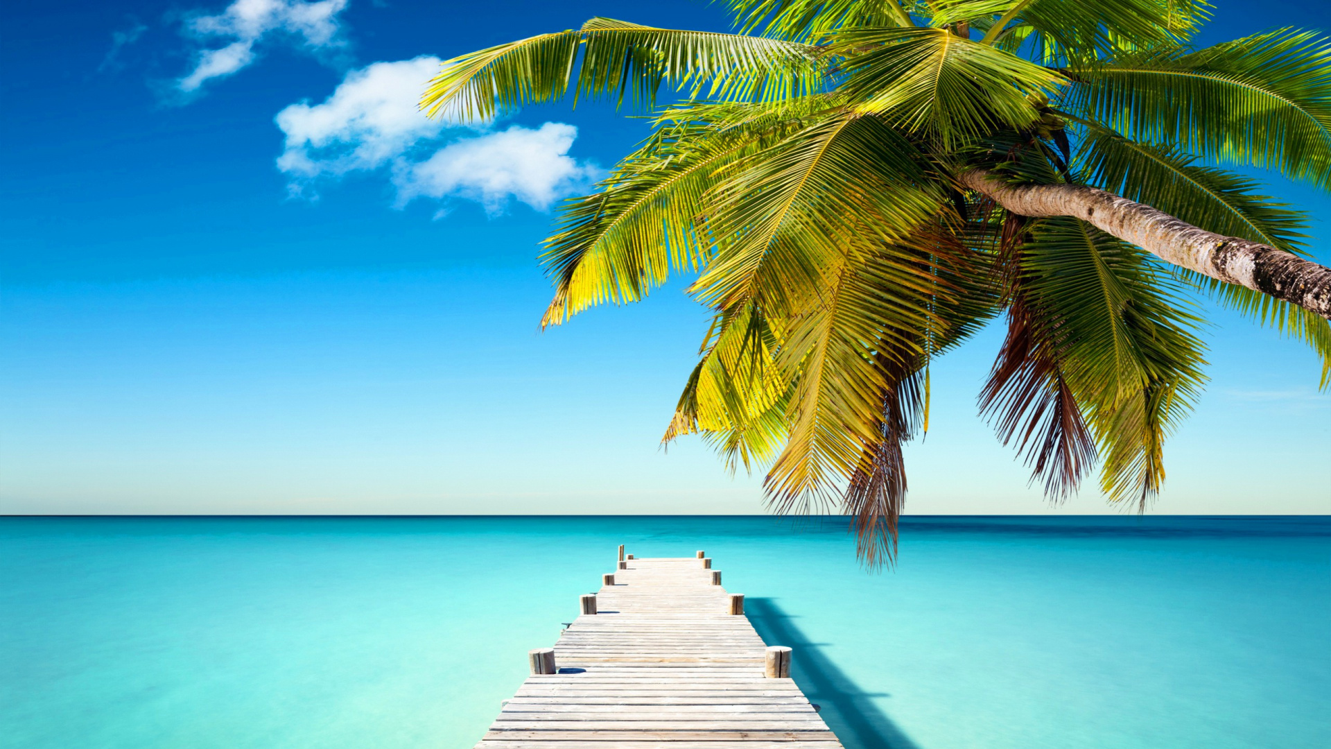 大海, 热带地区, 加勒比, 海洋, 度假 壁纸 1920x1080 允许