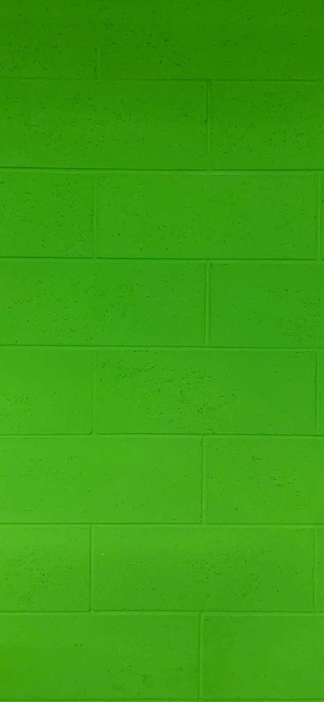 Peinture Murale Verte Pendant la Journée. Wallpaper in 1125x2436 Resolution