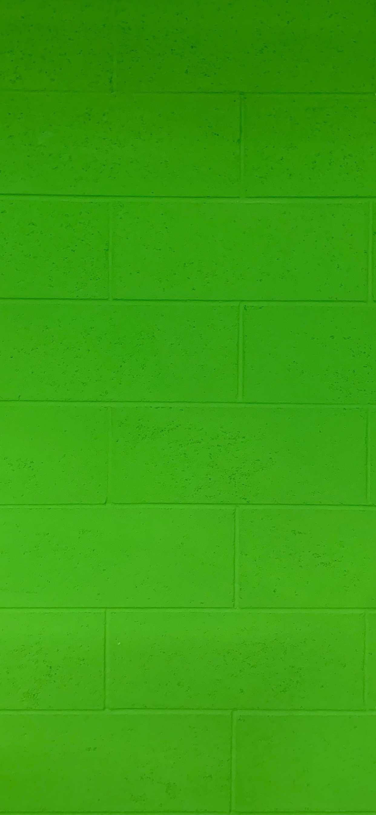 Peinture Murale Verte Pendant la Journée. Wallpaper in 1242x2688 Resolution