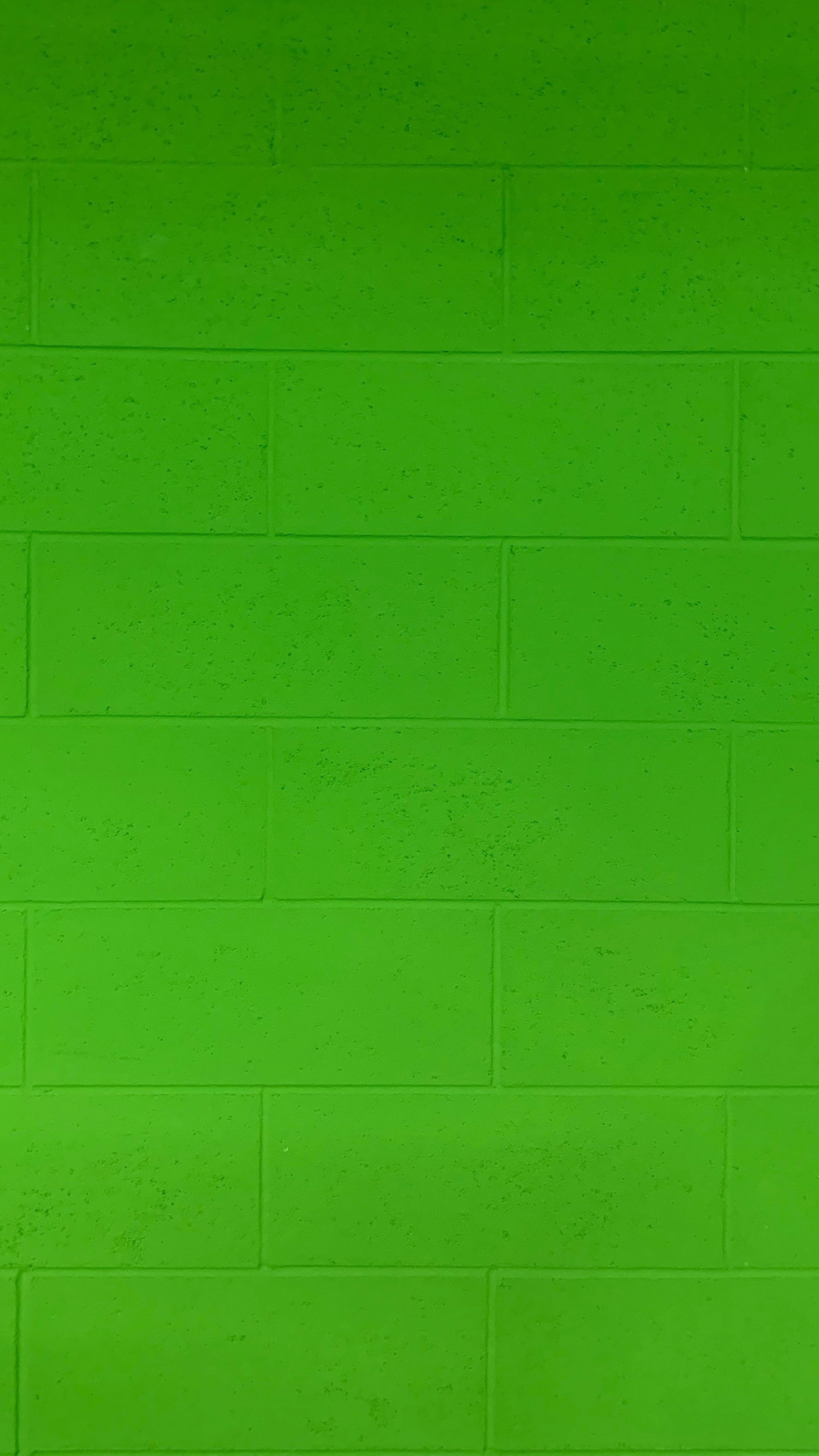 Green Wall Paint During Daytime. Wallpaper in 1440x2560 Resolution