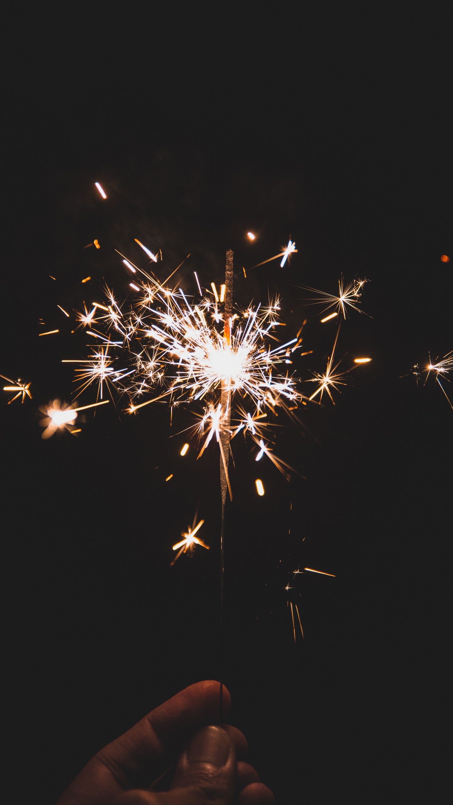 Pirotecnia, el Día de Año Nuevo, Diwali, Medianoche, Evento. Wallpaper in 1440x2560 Resolution