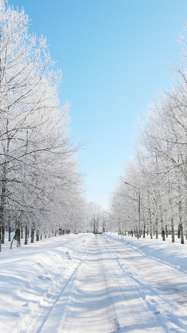 Schneebedeckte Bäume Unter Blauem Himmel Tagsüber. Wallpaper in 720x1280 Resolution