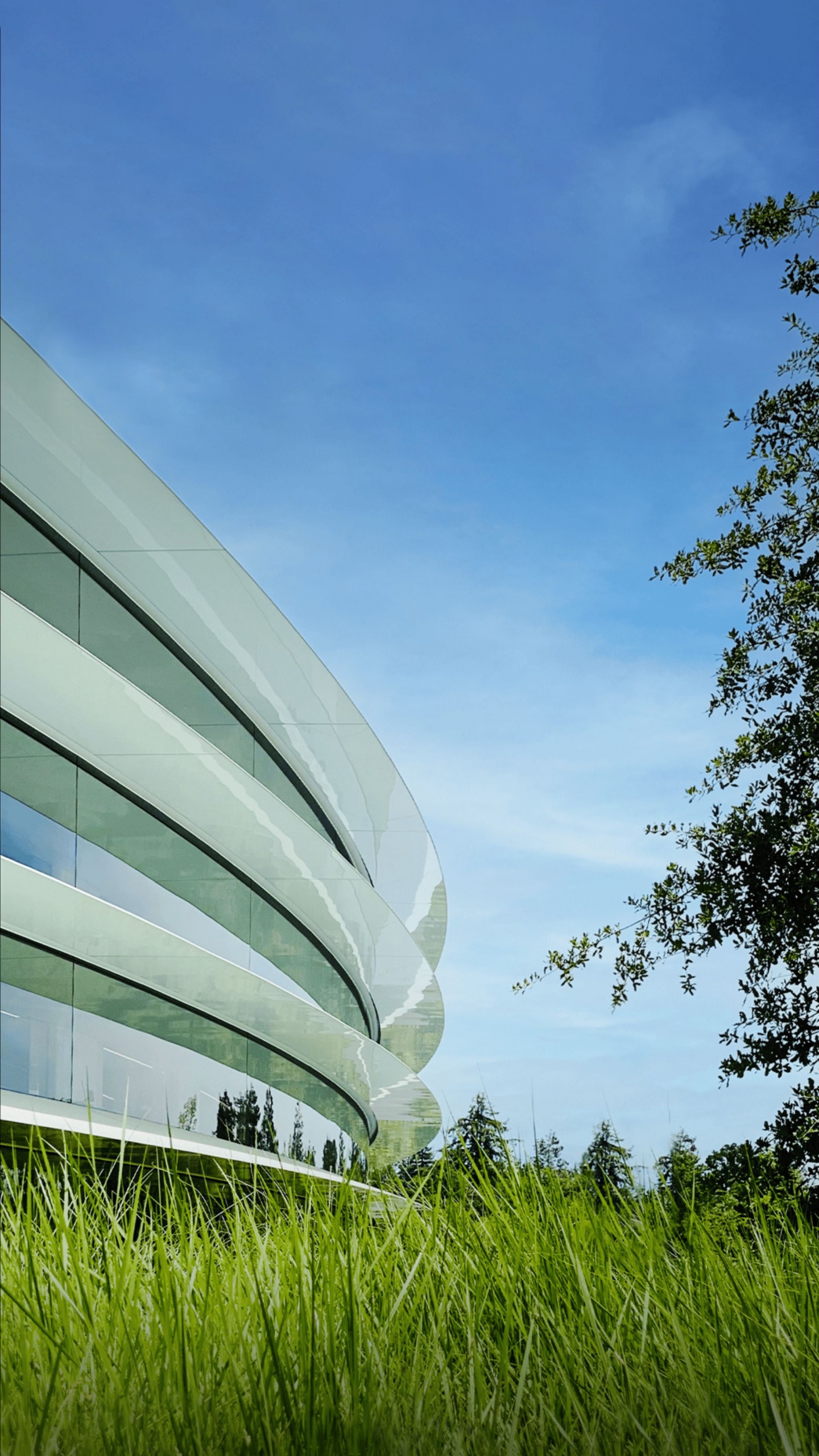 Apple Park, Ios 16, Apple, IOS, IOS 14. Wallpaper in 1440x2560 Resolution