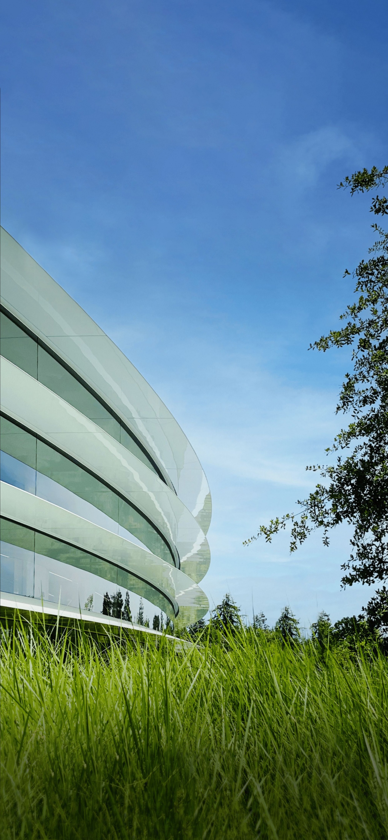 Apple Park, Ios 16, Manzana, Ios, IOS 14. Wallpaper in 1242x2688 Resolution