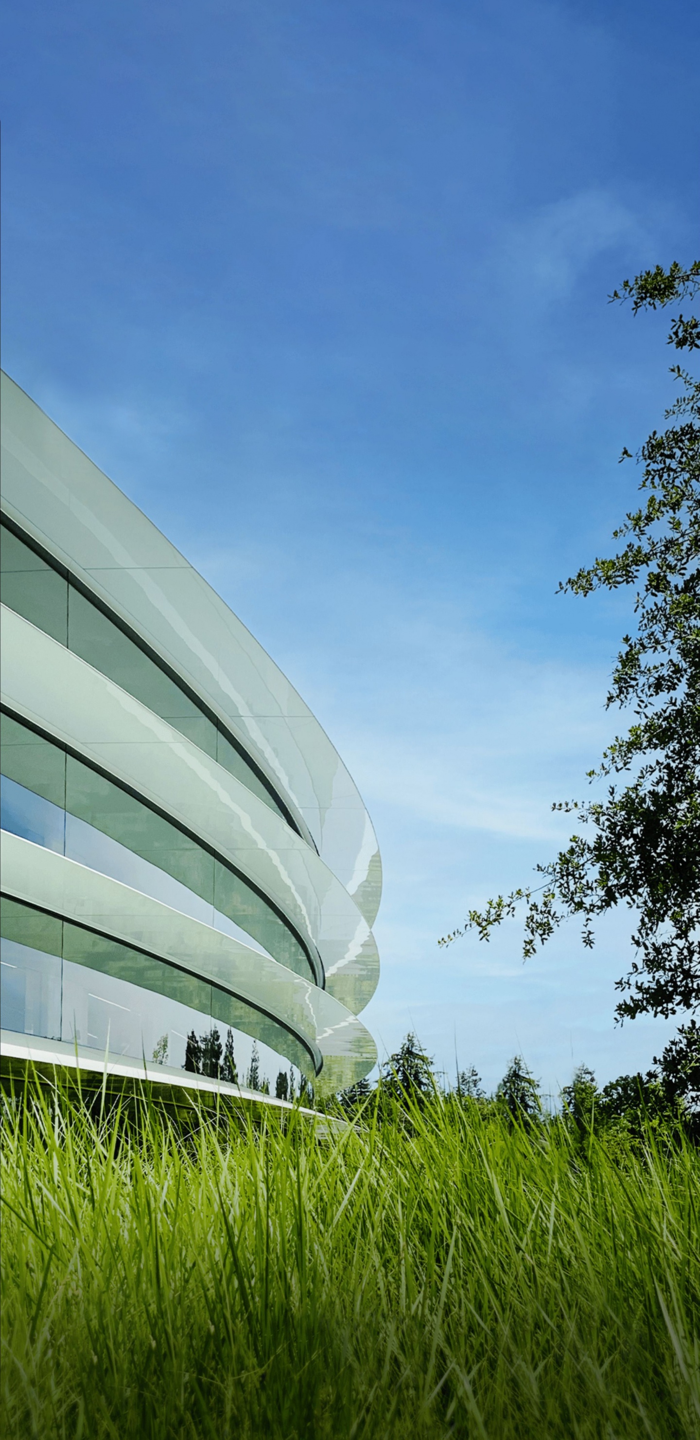 Apple Park, Ios 16, Manzana, Ios, IOS 14. Wallpaper in 1440x2960 Resolution