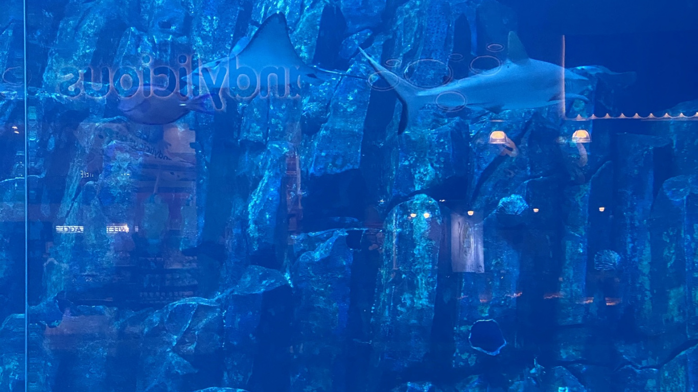 Underwater, Marine Biology, Water, Science, Fish. Wallpaper in 1366x768 Resolution