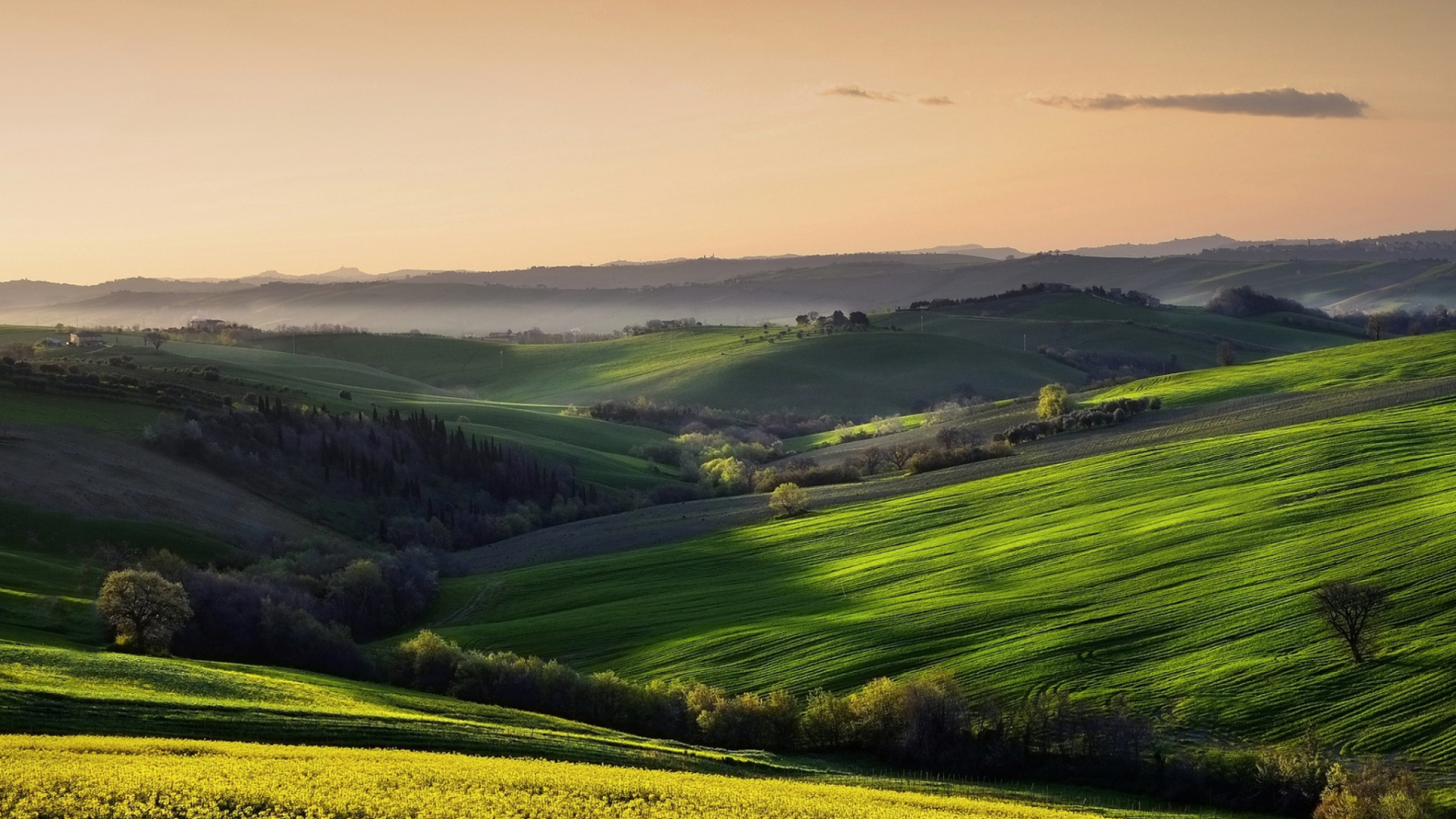 Green Grass Field Under White Sky During Daytime. Wallpaper in 1920x1080 Resolution