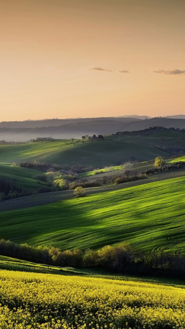 Green Grass Field Under White Sky During Daytime. Wallpaper in 720x1280 Resolution